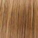 #6/27 (Medium Chestnut/Medium Blonde)