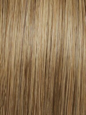 Hair Extensions 3A 10A