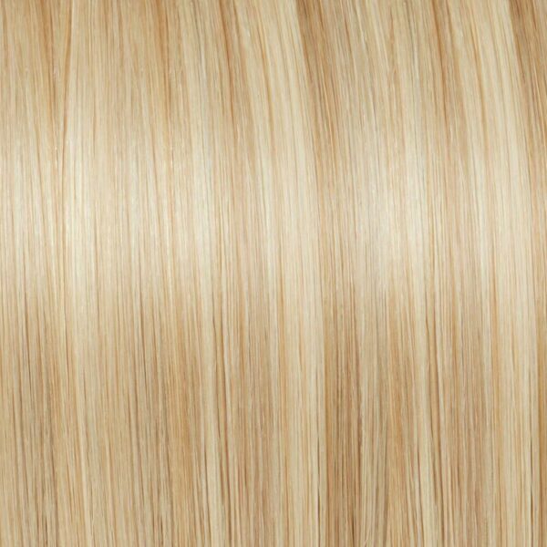 Ash Blonde-Beach Blonde (#18-613) Hair Extensions