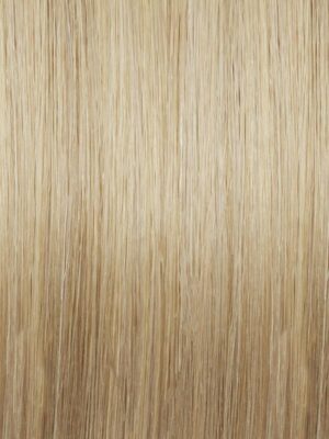 Ash Blonde-Light Gold Blonde (#18-24) Hair Extensions