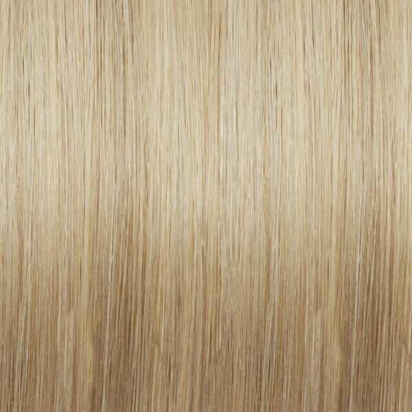 Ash Blonde-Light Gold Blonde (#18-24) Hair Extensions