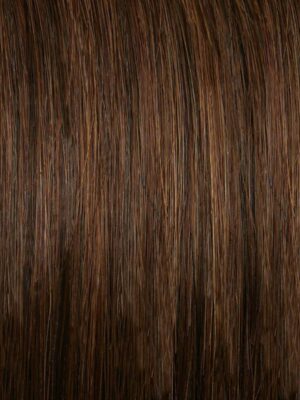 Dark Chestnut Brown (#4) Hair Extensions