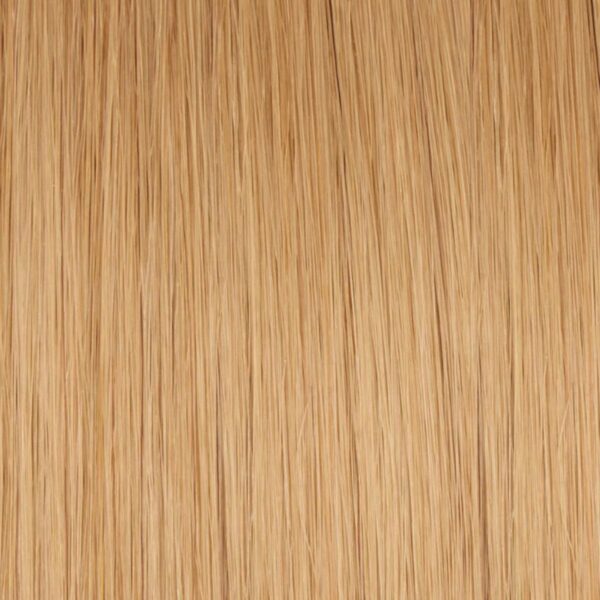 Dark Beach Blonde (#14) Tape In Hair Extensions