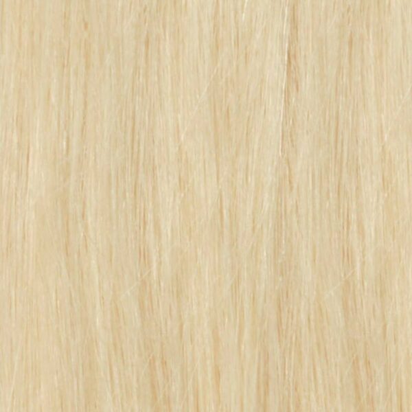 Light Blonde (#60) Hair Extensions