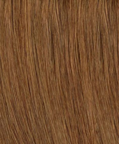 Medium Chestnut Brown (#6) Hair Extensions
