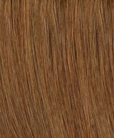 Medium Chestnut Brown (#6) Hair Extensions