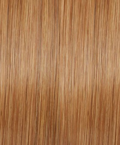 Medium Chestnut Brown/Medium Ash Blonde (#6/10) Hair Extensions