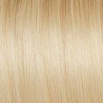 Platinum Blonde (#1001) Hair Extensions