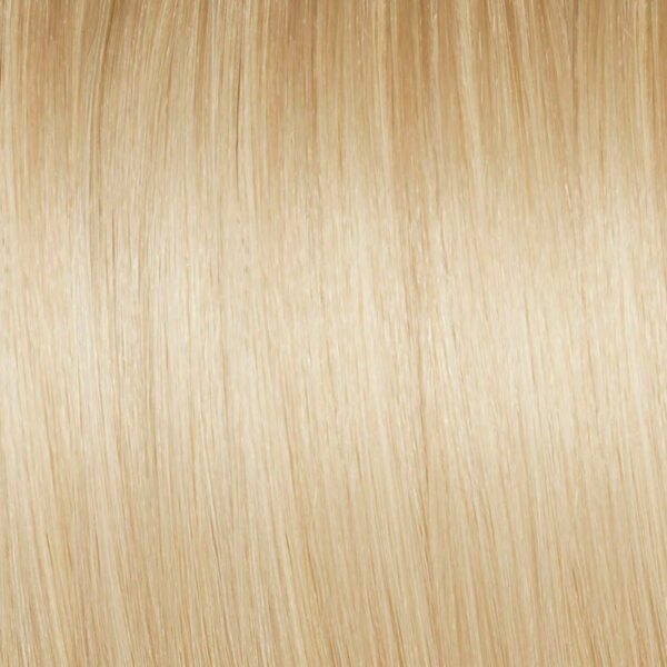 Platinum Blonde (#1001) Hair Extensions